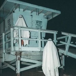 Meet your Posher, Elise